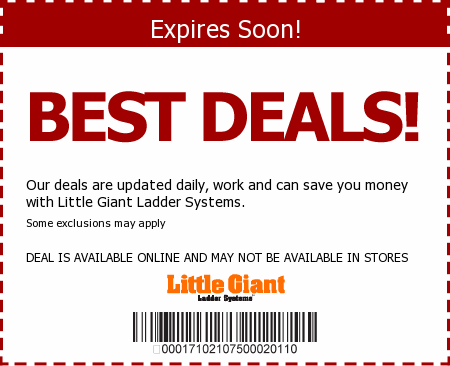 Little Giant Ladder Promo Code