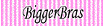 Bigger Bras Coupons