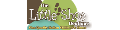 The Little Shoe Boutique coupons