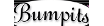 Bumpits Coupons