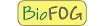 SCOE 10x Coupons
