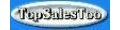TOPSALESTOO coupons